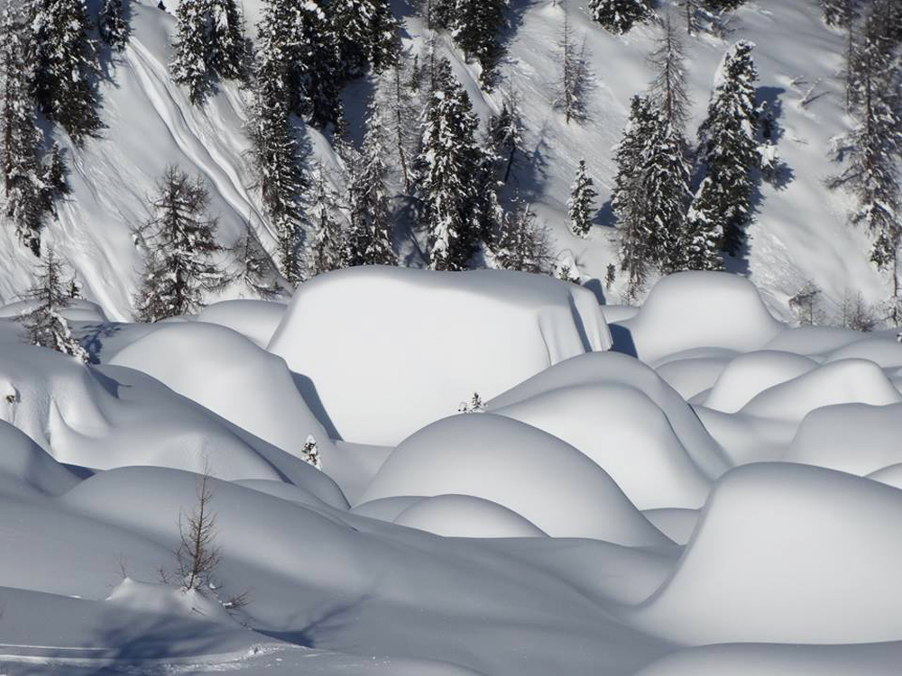 Deep snowed in landscape on a Powderchaser Trip