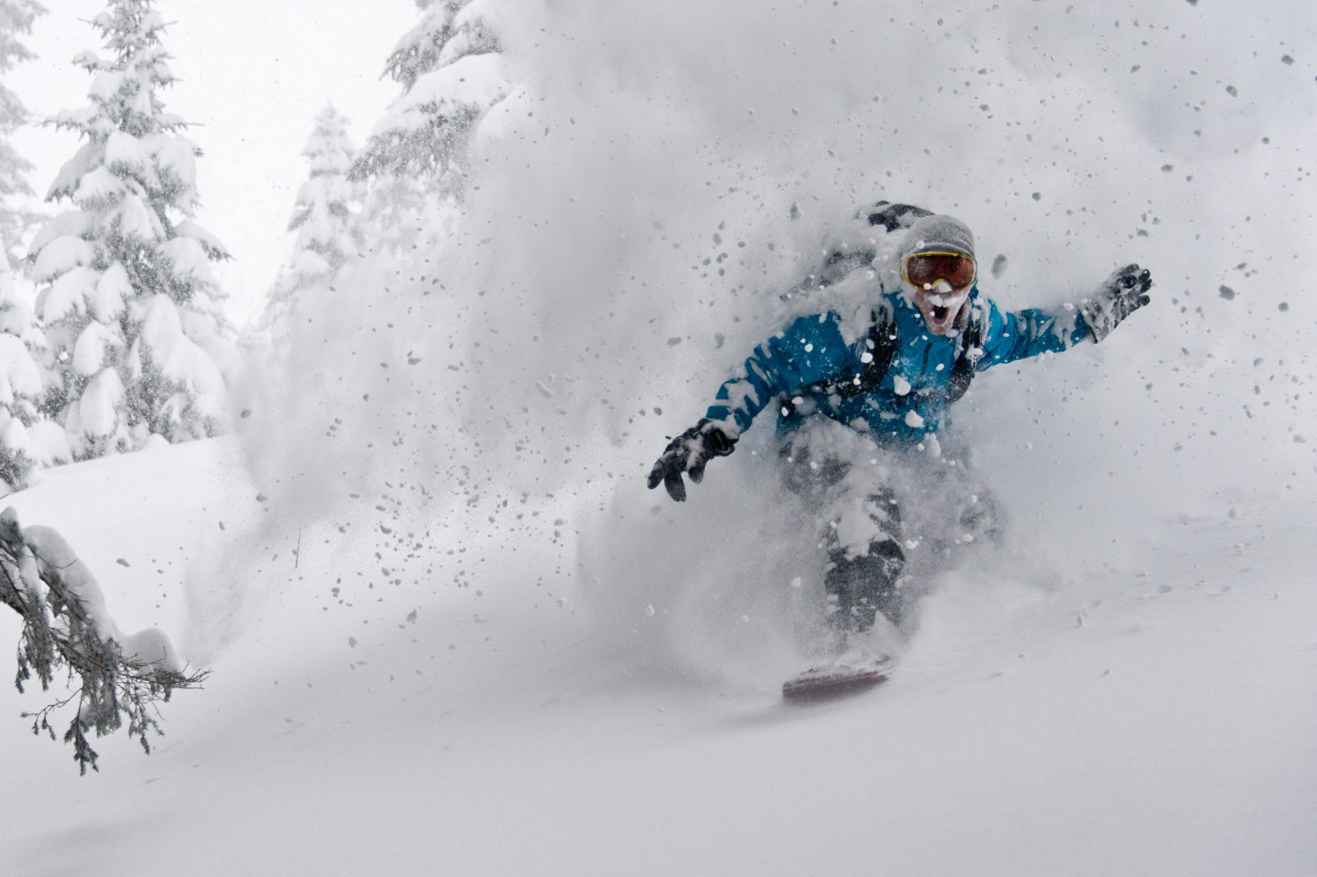 Freeride Guiding by Into the White